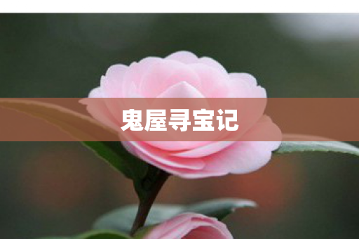 鬼屋寻宝记 鬼屋寻宝记