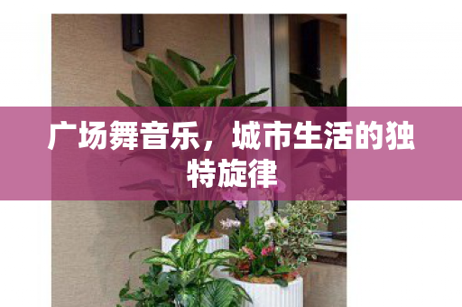 广场舞音乐，城市生活的独特旋律