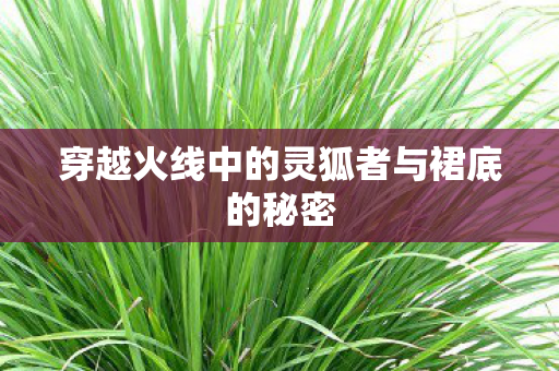 穿越火线中的灵狐者与裙底的秘密