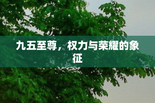 九五至尊，权力与荣耀的象征