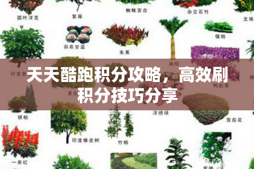天天酷跑积分攻略,高效刷积分技巧分享