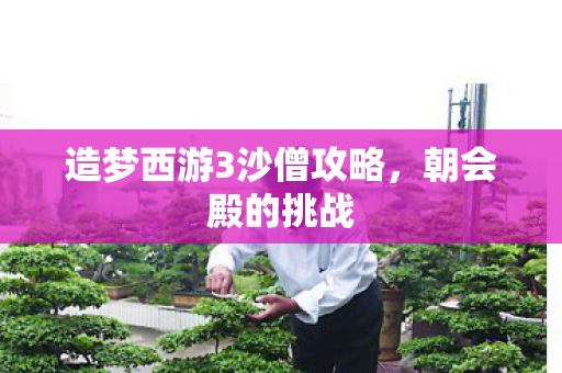 造梦西游3沙僧攻略，朝会殿的挑战