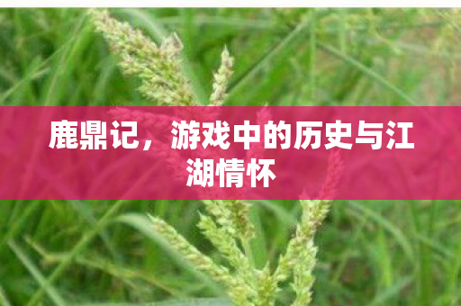 鹿鼎记，游戏中的历史与江湖情怀