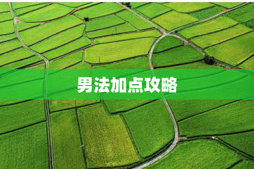 男法加点攻略