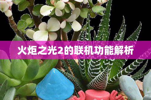 火炬之光2的联机功能解析 火炬之光2的联机功能解析