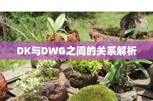 DK与DWG之间的关系解析