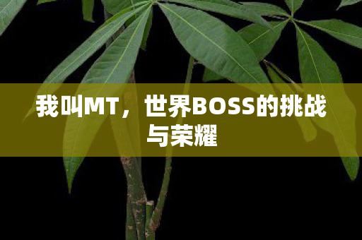 我叫MT,世界BOSS的挑战与荣耀