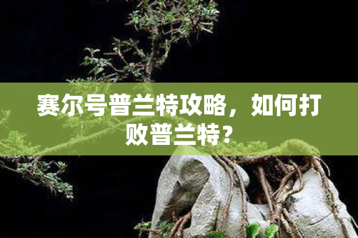 赛尔号普兰特攻略,如何打败普兰特?