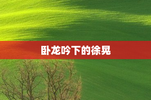 卧龙吟下的徐晃