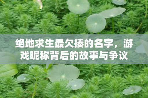 绝地求生最欠揍的名字，游戏昵称背后的故事与争议