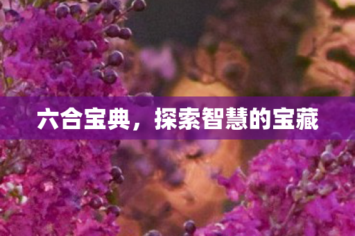 六合宝典，探索智慧的宝藏