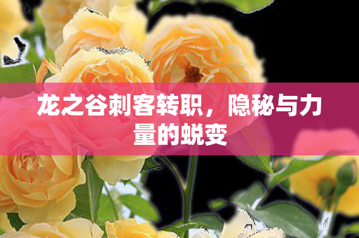 龙之谷刺客转职，隐秘与力量的蜕变