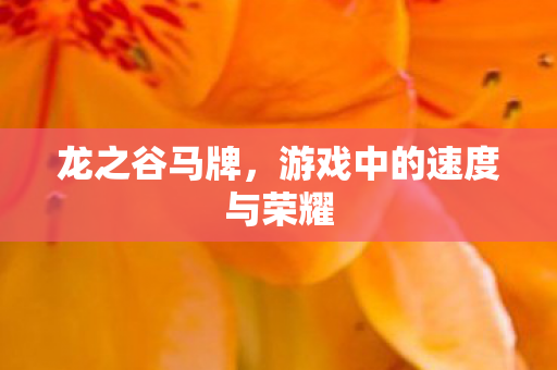龙之谷马牌，游戏中的速度与荣耀