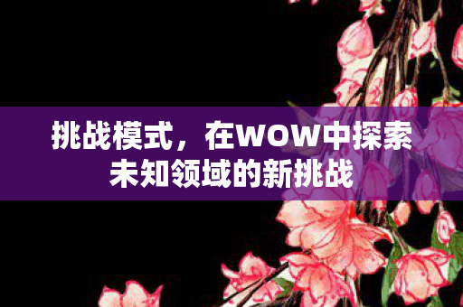 挑战模式，在WOW中探索未知领域的新挑战