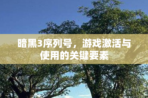 暗黑3序列号，游戏激活与使用的关键要素