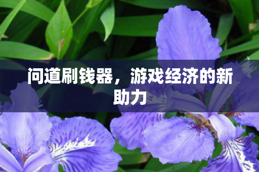 问道刷钱器，游戏经济的新助力