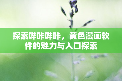 探索哔咔哔咔，黄色漫画软件的魅力与入口探索