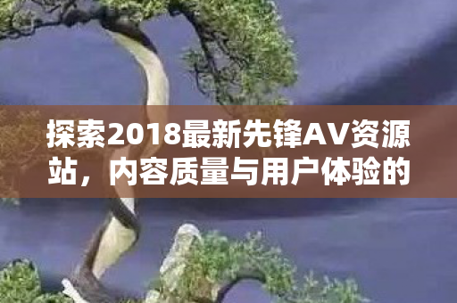 探索2018最新先锋AV资源站，内容质量与用户体验的完美结合