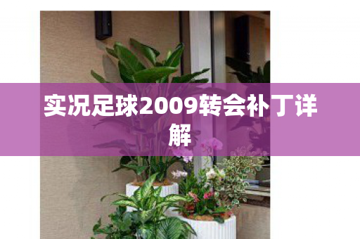 实况足球2009转会补丁详解