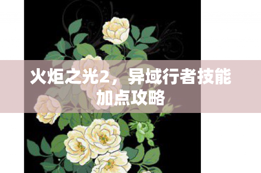 火炬之光2，异域行者技能加点攻略