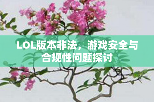 LOL版本非法，游戏安全与合规性问题探讨