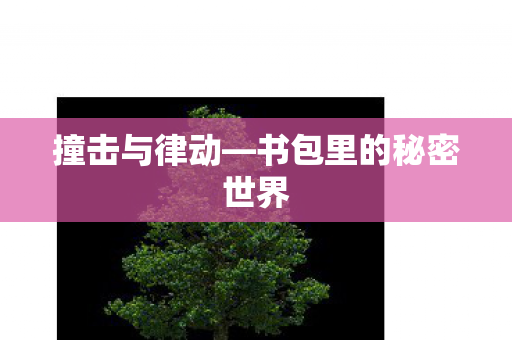 撞击与律动—书包里的秘密世界