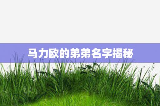 马力欧的弟弟名字揭秘