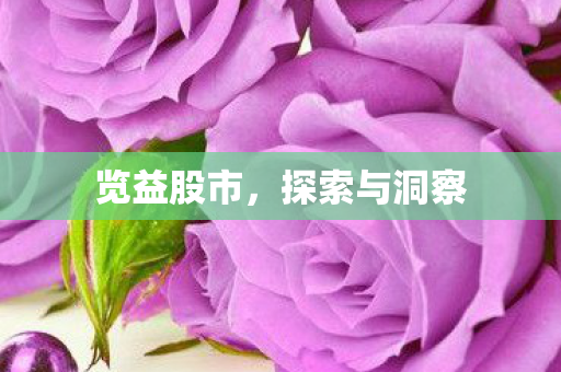 览益股市，探索与洞察