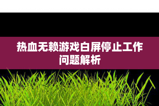 热血无赖游戏白屏停止工作问题解析