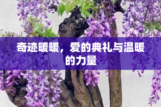 奇迹暖暖，爱的典礼与温暖的力量