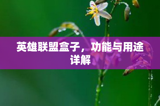 英雄联盟盒子，功能与用途详解