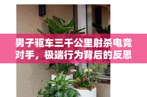 男子驱车三千公里射杀电竞对手，极端行为背后的反思