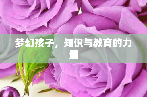 梦幻孩子，知识与教育的力量