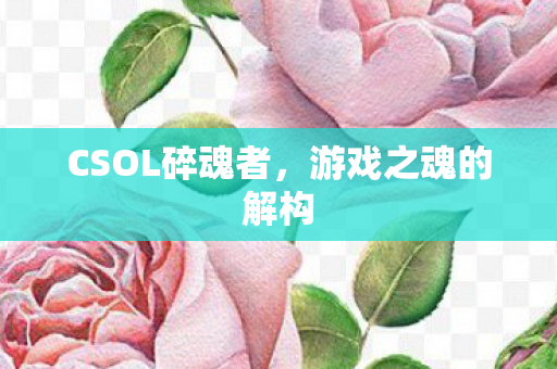 CSOL碎魂者，游戏之魂的解构