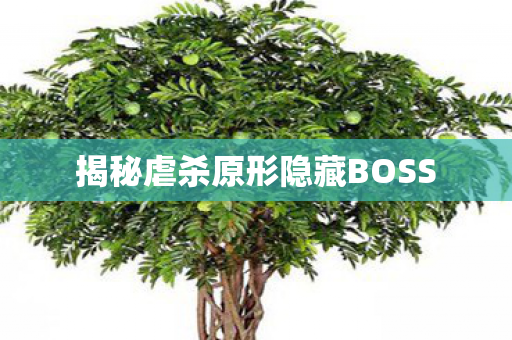 揭秘虐杀原形隐藏BOSS