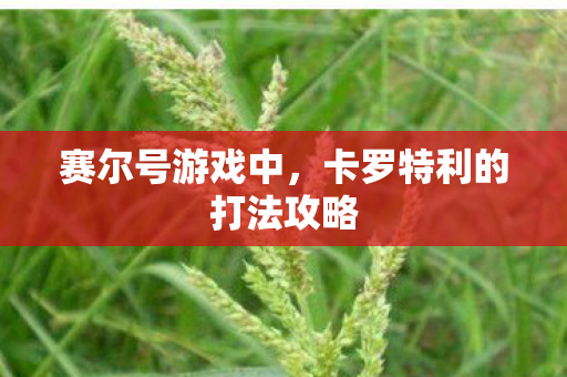 赛尔号游戏中，卡罗特利的打法攻略