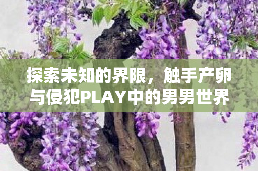 探索未知的界限，触手产卵与侵犯PLAY中的男男世界