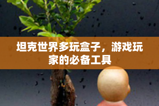 坦克世界多玩盒子,游戏玩家的必备工具 坦克世界多玩盒子,游戏玩家的必备工具