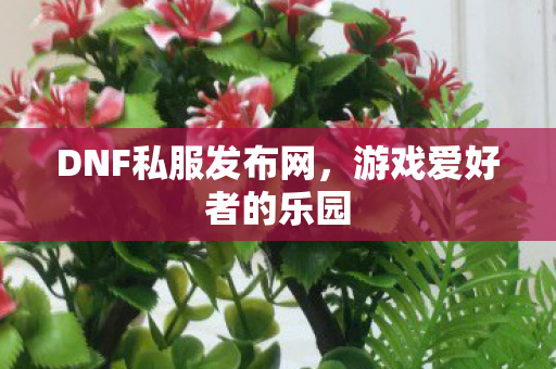 DNF私服发布网，游戏爱好者的乐园