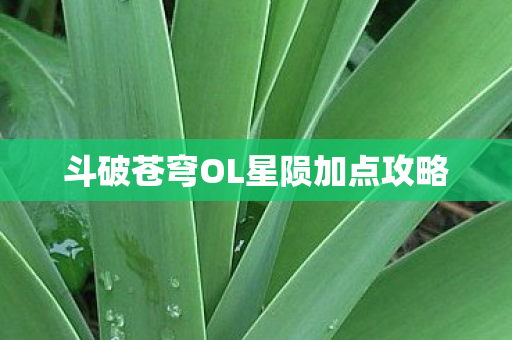 斗破苍穹OL星陨加点攻略