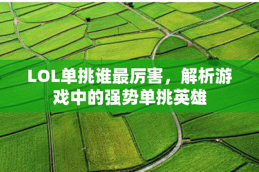 LOL单挑谁最厉害，解析游戏中的强势单挑英雄