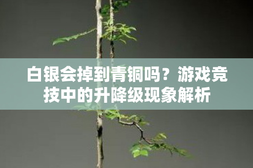 白银会掉到青铜吗？游戏竞技中的升降级现象解析