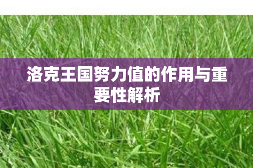 洛克王国努力值的作用与重要性解析