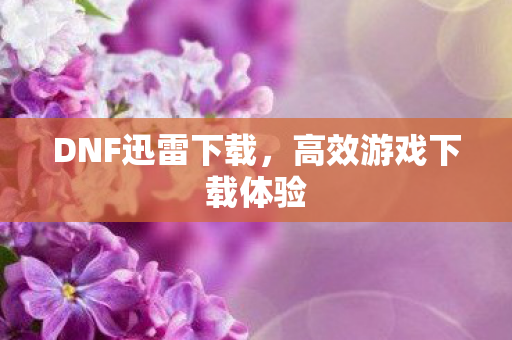 DNF迅雷下载，高效游戏下载体验