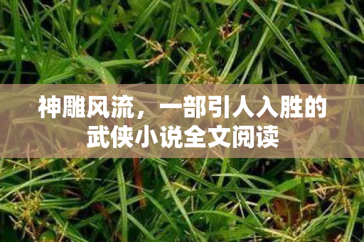 神雕风流，一部引人入胜的武侠小说全文阅读