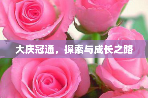 大庆冠通，探索与成长之路