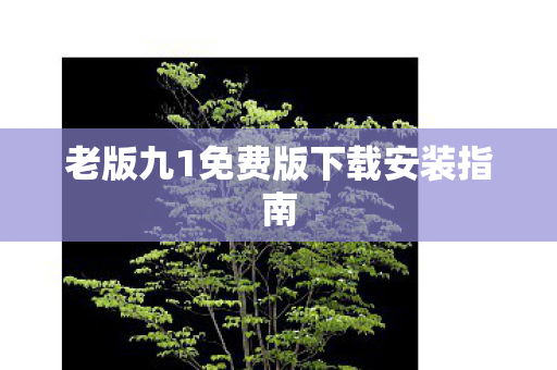 老版九1免费版下载安装指南
