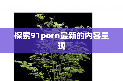 探索91porn最新的内容呈现