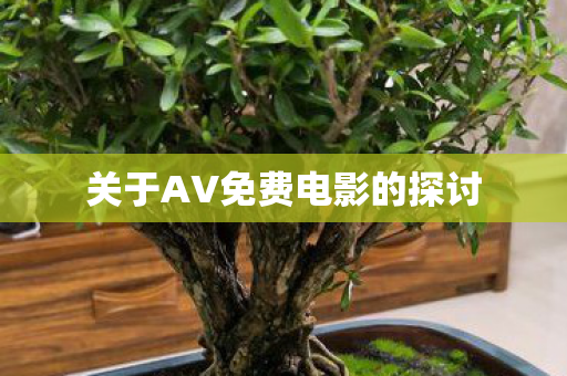 关于AV免费电影的探讨