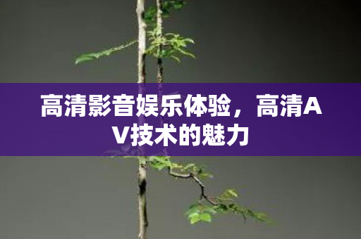 高清影音娱乐体验，高清AV技术的魅力